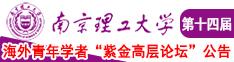 骚货出水南京理工大学第十四届海外青年学者紫金论坛诚邀海内外英才！